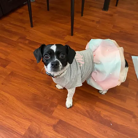 Alojamento de Acomodação e Pequeno-almoço Compact In Beautiful 4bedroom Penthouse 3*