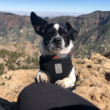 Compact In Beautiful 4bedroom Penthouse Alojamento de Acomodação e Pequeno-almoço Puerto de Santiago (Tenerife)